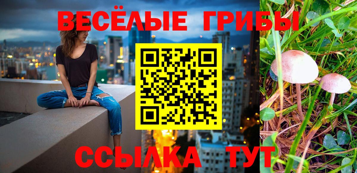 Галлюциногенные грибы Psilocybine cubensis Саянск