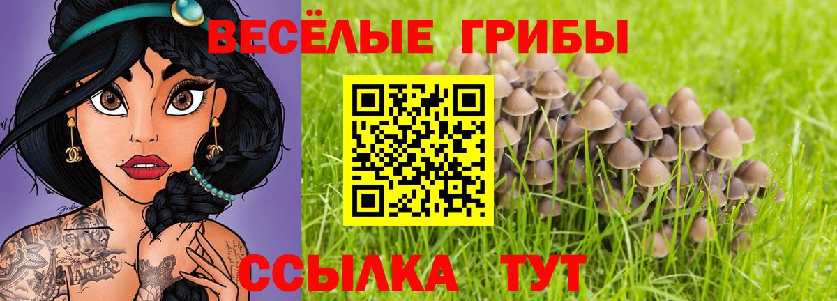 MDMA  Вход с VPN  МЕФ кристаллы  Саянск  ГАШ  МАРИХУАНА  Мефедрон 